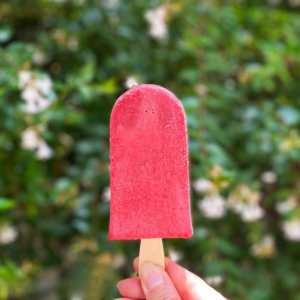 Pinitos frutales (veganos)